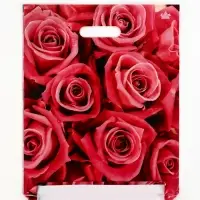 Пакет "Джейми", полиэтиленовый с вырубной ручкой, л 40х31 см, 60 мкм