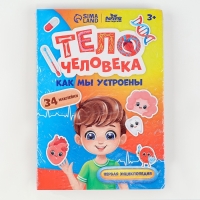 Обучающий набор &laquo;Тело человека&raquo;, рамка-вкладка и книга с наклейками