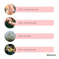 Корзина для луковичных, квадратная, 25&times;20 см, зелёная, Greengo