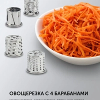 Мясорубка электрическая PMG 3090 RUS с насадками