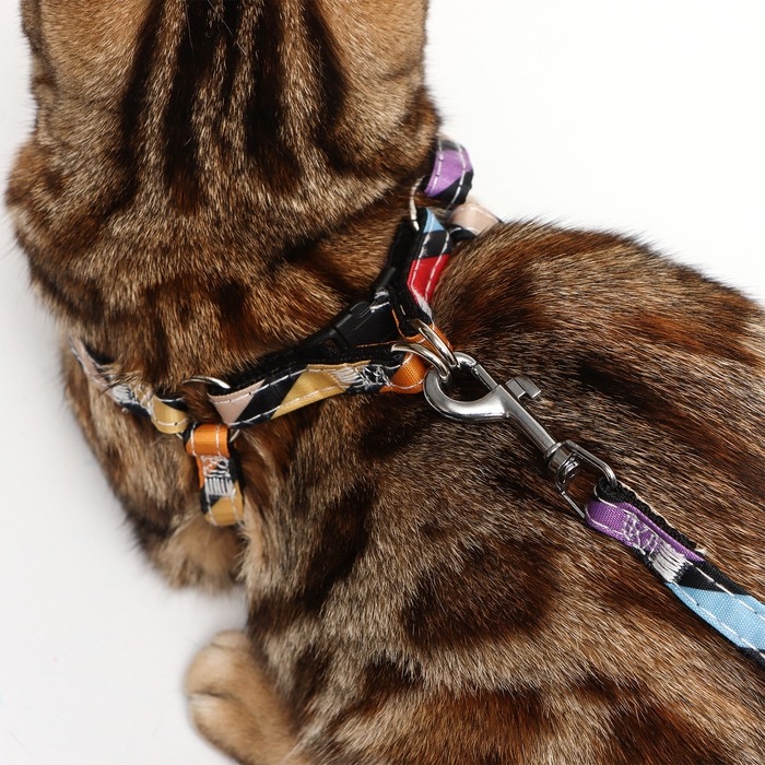 Комплект амуниции двухслойный, S, поводок 120х1 см,ОШ 24-38 ОГ 29-41 см, разноцветные полосы   96837