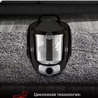Пылесос с контейнером Compact Power XXL TW4855EA