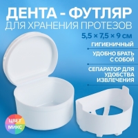 Контейнер для хранения протезов, 5,5 × 7,5 × 9 см, цвет МИКС Контейнер для хранения протезов, 5,5 × 7,5 × 9 см, цвет МИКС