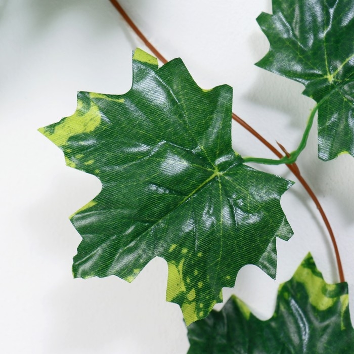 Лиана Лиана "Кленовые листики" 230 см