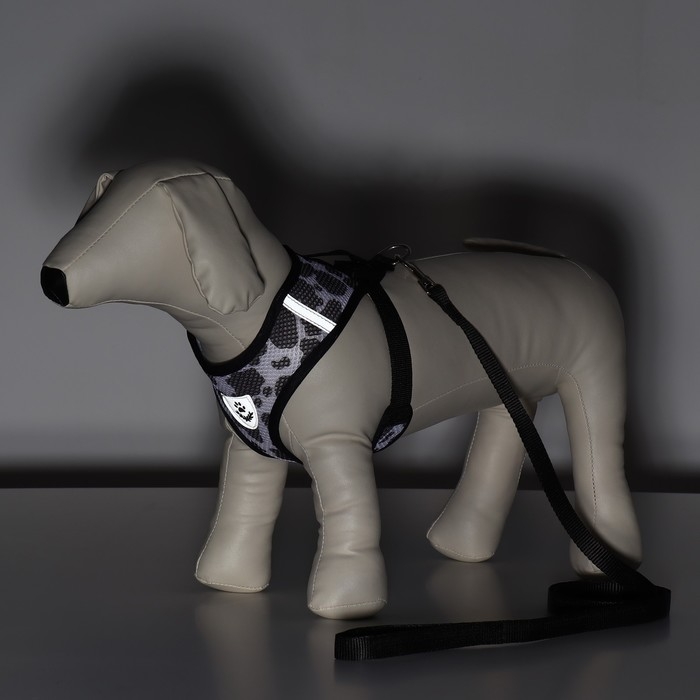 Комплект для собак 5-8 кг, размер M, поводок 120 х 1,5 см, ОШ 30 см, ОГ 39 см