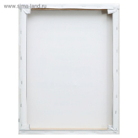 Картина на холсте "Беги" 38х48 см