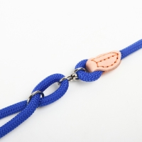 Поводок 8 мм со своркой на 2 собак, 73 + 2х57 см, полиэстер и натуральная кожа, синий Поводок 8 мм со своркой на 2 собак, 73 + 2х57 см, полиэстер и натуральная кожа, синий