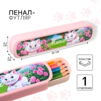 Пенал-футляр пластиковый, 43х200х23 мм, выдвижной, Коты аристократы Пенал-футляр пластиковый, 43х200х23 мм, выдвижной, Коты аристократы