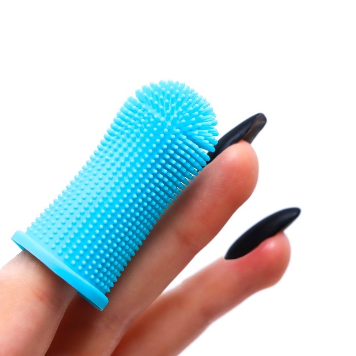 Щётка для чистки зубов животных, 5,5 х 2,5 см, голубая, контейнер 7 х 4 см Щётка для чистки зубов животных, 5,5 х 2,5 см, голубая, контейнер 7 х 4 см