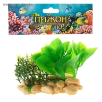 Растение искусственное аквариумное на подставке под камень, 12 х 12 х 6 см