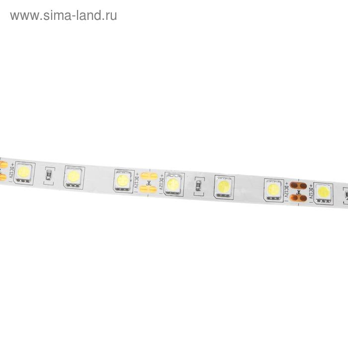 Светодиодная лента Ecola PRO 5 м, IP20, SMD5050, 60 LED/м, 14.4 Вт/м, 12 В, 6000К