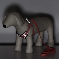 Комплект Sport+, XS, поводок 120 x 1,5 см, ОШ 37-39 см, ОГ 41-46 см, вес животного 4-6 кг, розовый Комплект Sport+, XS, поводок 120 x 1,5 см, ОШ 37-39 см, ОГ 41-46 см, вес животного 4-6 кг, розовый