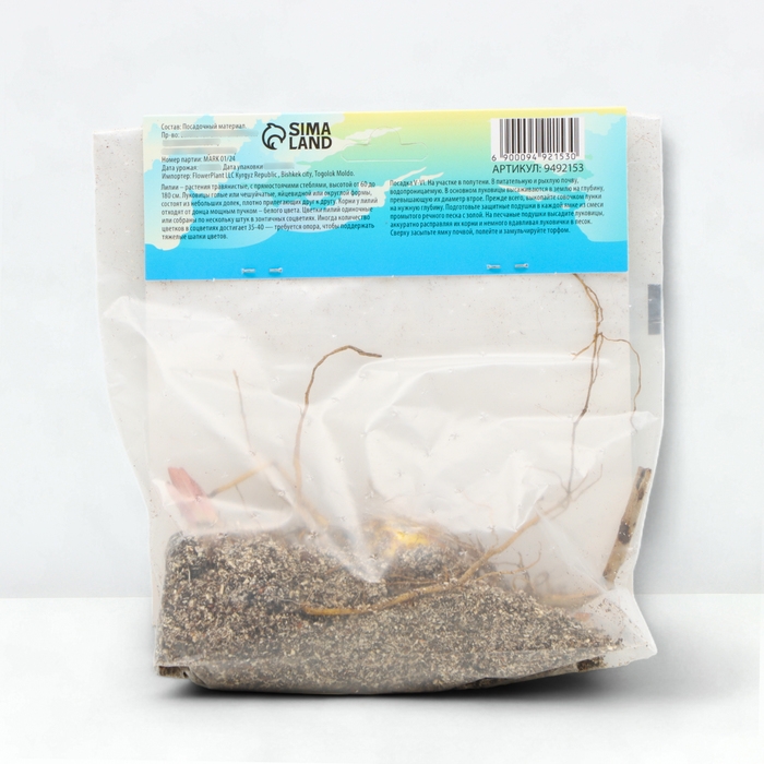 Лилия Восточная Кашпо "Garden Party", р-р 12/14, 2 шт,