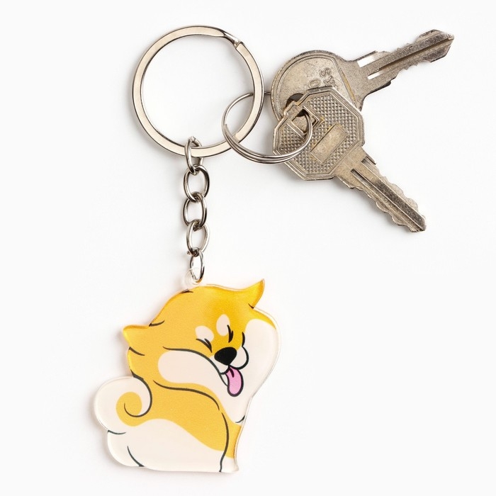 Брелок для ключей акриловый «Я не подарок», 9.7 х 4.3 см Брелок для ключей акриловый «Я не подарок», 9.7 х 4.3 см