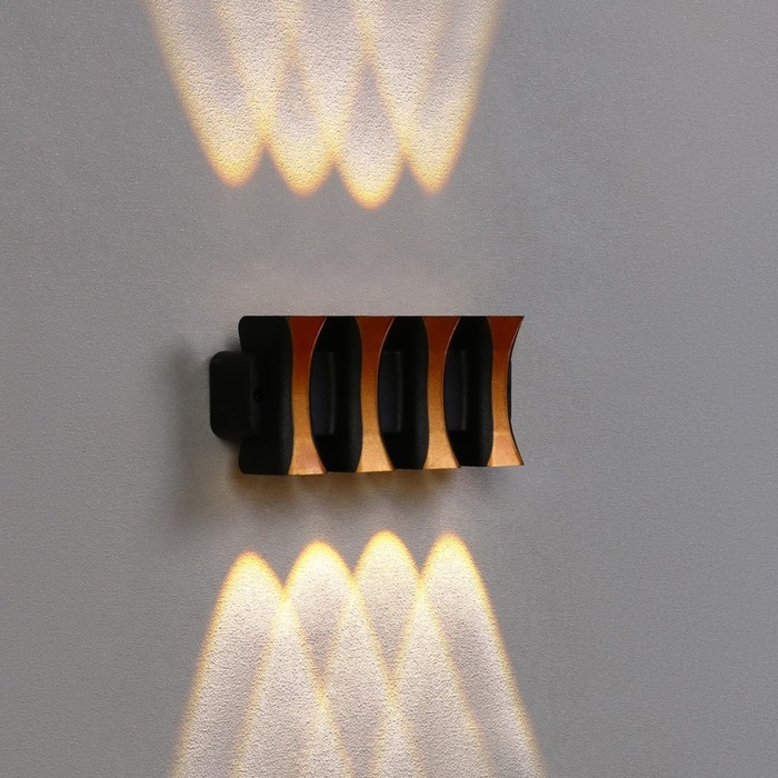 Светильник фасадный &laquo;Элегант&raquo;, FSD-041, 8 Вт, 3000К, 4 луча, IP65, 220 В, пластик, черный