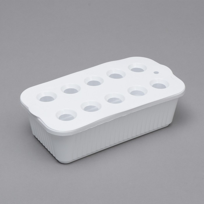 Ящик для выращивания зелёного лука, 29 &times; 16 &times; 8,5 см, 2,5 л, 10 лунок, пластик, белый, Greengo