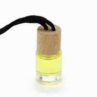 Ароматизаторы для машины новогодние «Все сбудется, загадывай», цитрус, тропики, парфюм, 3 шт Ароматизаторы для машины новогодние «Все сбудется, загадывай», цитрус, тропики, парфюм, 3 шт