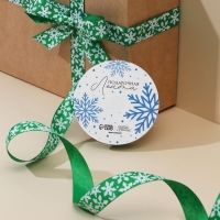 Лента декоративная репсовая &laquo;Снежный вихрь&raquo;, зеленая, 2 см &times; 5 м