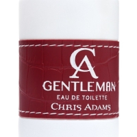 Туалетная вода мужская Chris Adams Ca Gentleman, 100 мл Туалетная вода мужская Chris Adams Ca Gentleman, 100 мл