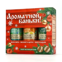 Подарочный набор БАННЫЙ ДУХ &laquo;С лёгким паром&raquo;, настой для бани, 3х250 мл, Новый Год