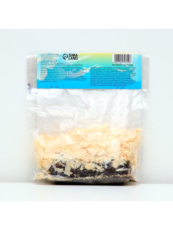 Глоксиния &laquo;Виолацея&raquo;, многолетник, комнатный, луковица в пакете с перфорацией, р-р 5/6, 2 шт.