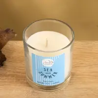 Свеча с кристаллом внутри Sea and Summer "Coco Oasis" кокос, 120 гр