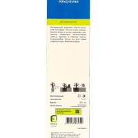 Спирея Вангутта (Серия Северный сад), саженец, туба, 1 шт.