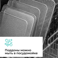 Сушилка для овощей и фруктов, дегидратор T-PFD42149