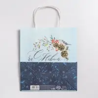 Пакет подарочный новогодний крафтовый &laquo;Морозное утро&raquo;, 22 х 25 х 12 см