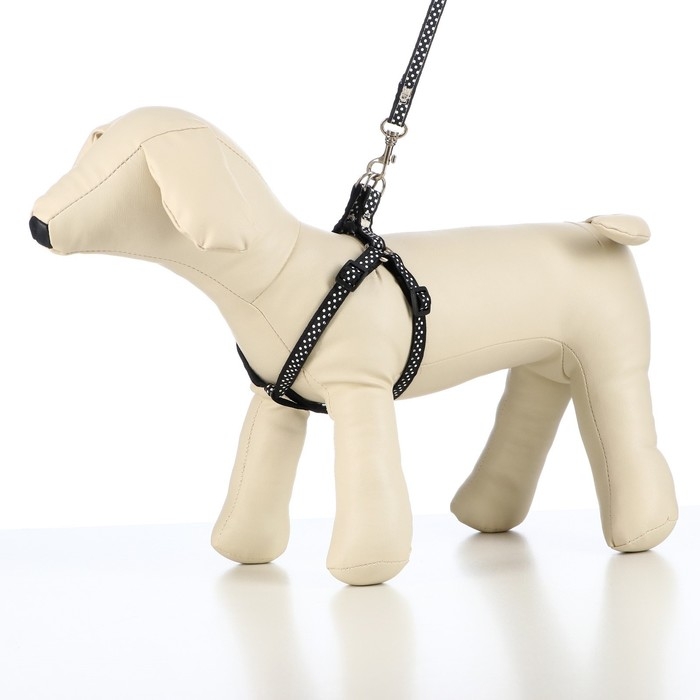 Комплект амуниции "Горошек", ширина 1 см, шлейка 27-42 см, поводок 120 см, чёрный