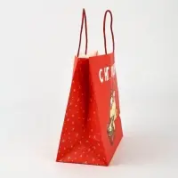 Набор пакетов крафтовых &laquo;Новогодний праздник&raquo;