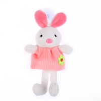 Мягкая игрушка «Зайка в платье», на приоске, цвета МИКС Мягкая игрушка «Зайка в платье», на приоске, цвета МИКС