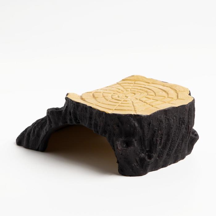 Укрытие для террариума под дерево, 13,5 х 9 х 5 см Укрытие для террариума под дерево, 13,5 х 9 х 5 см