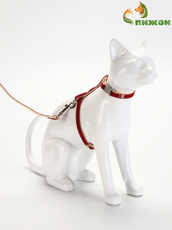 Комплект амуниции "Жаккард", поводок 120 х 1 см, красный