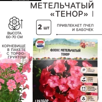 Флокс метельчатый &laquo;Тенор&raquo;, корневище в пакете с торфогрунтом, р-р I, 2 шт.