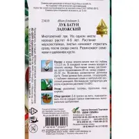 Семена  Лук батун "Ладожский" (/: 17 е/д)