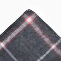 Платки носовые мужские Экономь и Я "Клетка" 38*38 см, (набор 10 шт), рис. МИКС,100% пэ