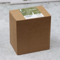 Кружка керамическая Dolce Ceramo &laquo;Олива&raquo;, 450 мл, зелёная