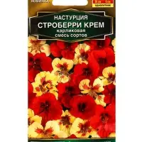 Семена цветов Настурция Строберри крем карликовая, смесь сортов  Золотая серия, Ц/П,1 г