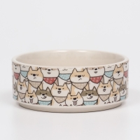 Миска керамическая "Хаски" 200мл, 10,5 х 4 см Миска керамическая "Хаски" 200мл, 10,5 х 4 см