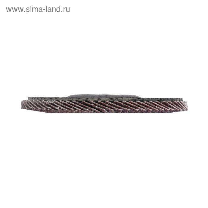 Круг лепестковый торцевой конический ЛОМ, 115 х 22 мм, Р40