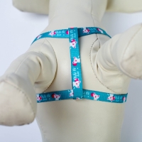 Комплект &laquo;Хочу на ручки&raquo;, шлейка 24-34х1 см, поводок 120 см