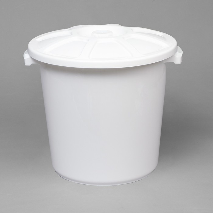 Бак пищевой с крышкой, 40 л, цвет МИКС Бак пищевой с крышкой, 40 л, цвет МИКС