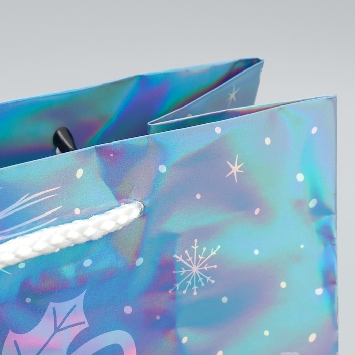 Пакет голографический &laquo;Морозко&raquo;, ML 23 х 27 х 11.5 см, Новый год