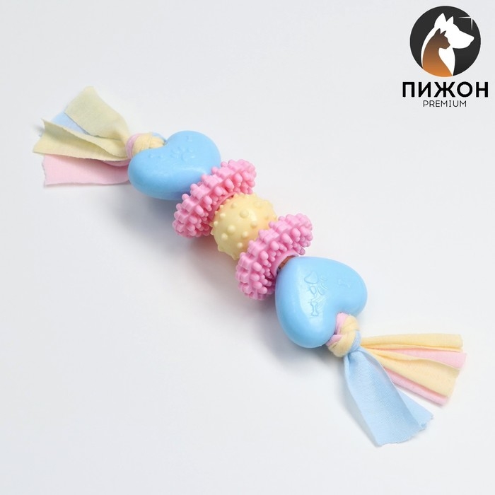 Игрушка жевательная Пижон Premium на верёвке, 5 элементов, термопластичная резина, микс Игрушка жевательная Пижон Premium на верёвке, 5 элементов, термопластичная резина, микс