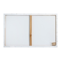 Холст на подрамнике, хлопок 100%, 1.6 х 50 х 80 см, акриловый грунт, мелкозернистый, 280 г/м&sup2;