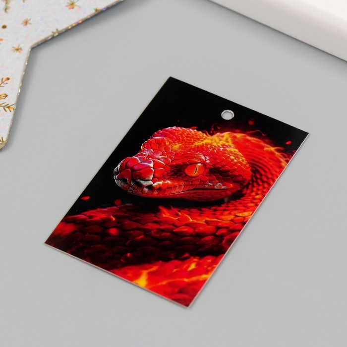 Новогодняя бирка картон Новогодняя бирка картон "Огненная змея" Новогодний набор 10 шт (5 видов) 4х6 см