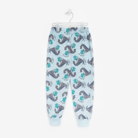 Пижама для мальчика, цвет голубой, рост 92 см Пижама для мальчика, цвет голубой, рост 92 см