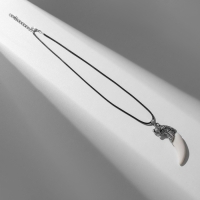 Кулон унисекс «Клык тигра», цвет белый в чернёном серебре на чёрном шнурке, 40 см Кулон унисекс «Клык тигра», цвет белый в чернёном серебре на чёрном шнурке, 40 см