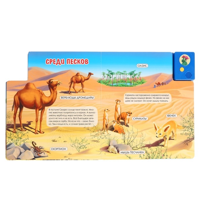 Книга музыкальная &laquo;Чей дом саванна и пустыня?&raquo;, 3+